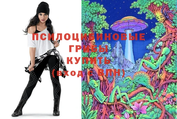 прущая мука Пестово