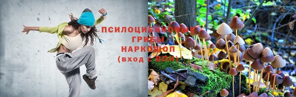соль ск Остров