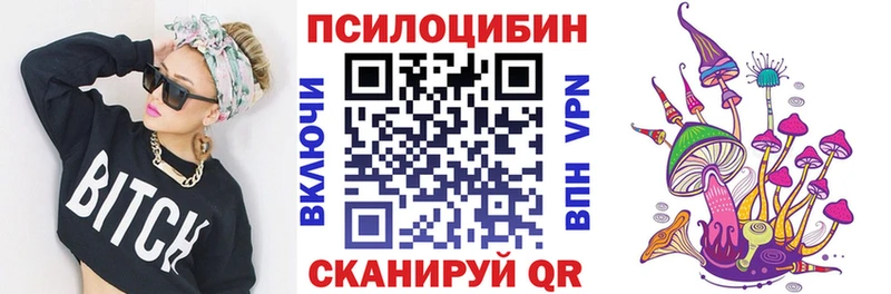 магазин продажи   Апрелевка  Псилоцибиновые грибы Psilocybine cubensis 