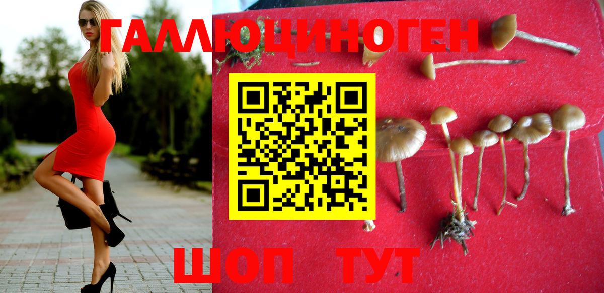Галлюциногенные грибы Cubensis  Галлюциногенные грибы ЛСД  Апрелевка 